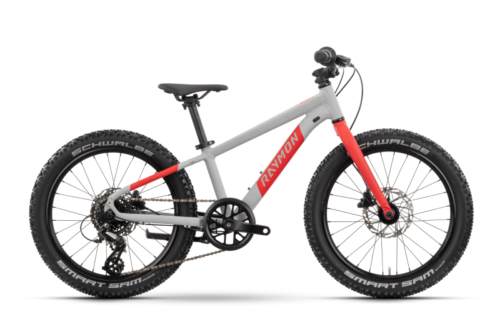 Raymon Yanga PRO 20"