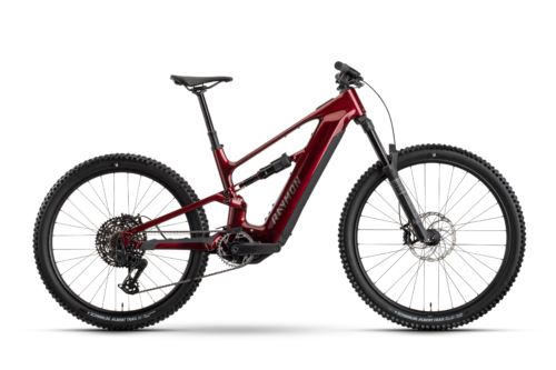 R-Raymon - Ravor pro